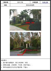 陈卓林：做行业标杆 让业主满意