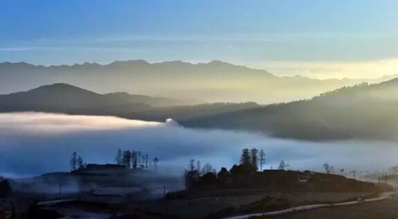 在最美的季节遇见你 尊龙凯时“上山下海”体验行