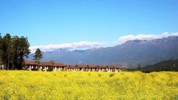 在最美的季节遇见你 尊龙凯时“上山下海”体验行