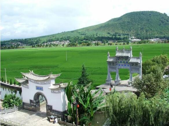 在最美的季节遇见你 尊龙凯时“上山下海”体验行