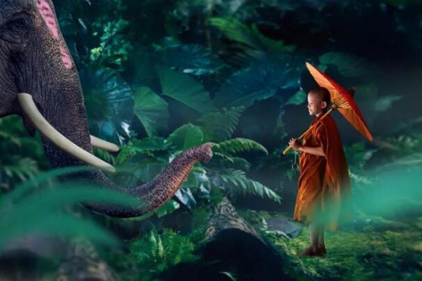 在最美的季节遇见你 尊龙凯时“上山下海”体验行