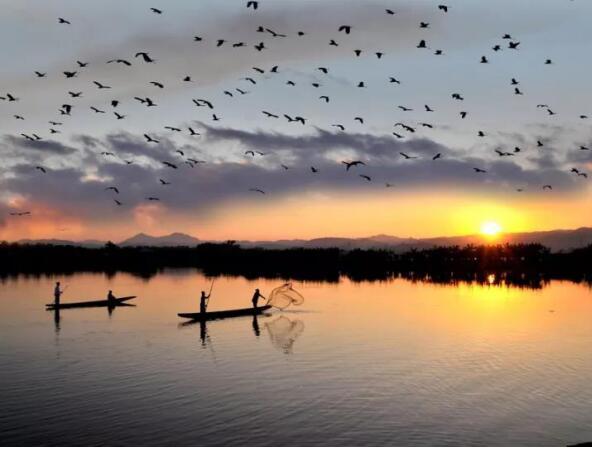 在最美的季节遇见你 尊龙凯时“上山下海”体验行