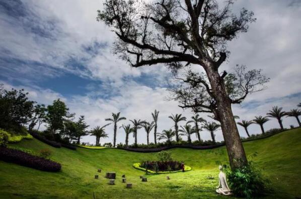 在最美的季节遇见你 尊龙凯时“上山下海”体验行