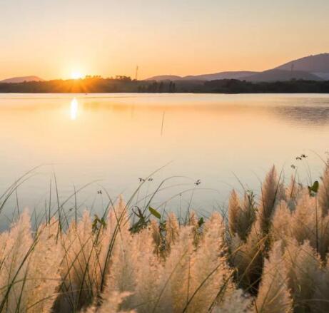 在最美的季节遇见你 尊龙凯时“上山下海”体验行