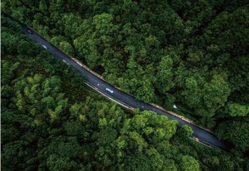 在最美的季节遇见你 尊龙凯时“上山下海”体验行