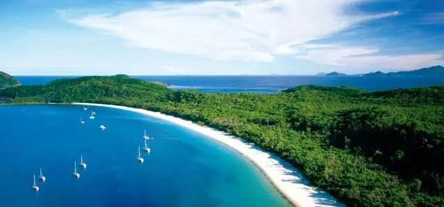 在最美的季节遇见你 尊龙凯时“上山下海”体验行