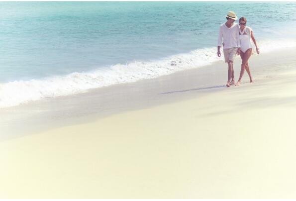 在最美的季节遇见你 尊龙凯时“上山下海”体验行